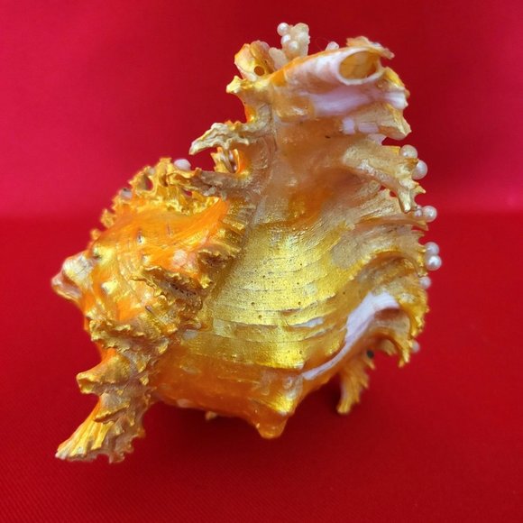 Bird Standing on Sea Shell Table Decor - Picture 11 of 12